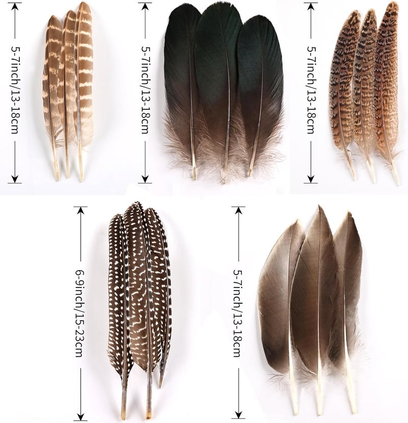 Daieeparty 15pcs Pheasant Feathers 5-8inch Natural Craft Feather for Home DIY Dreamcatcher Hat Costumes Decoration(5 Styles) - Image 2